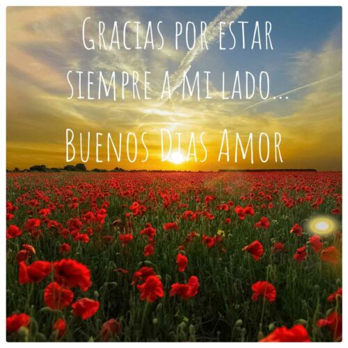 Imágenes-Buenos-Días-de-Amor-para-mi-Novia_05