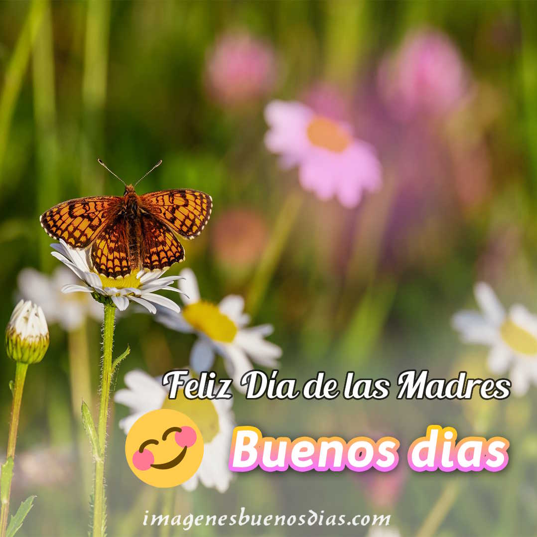 Dia de la Madre, ¡¡Felicidades!! » Imágenes de Buenos Días