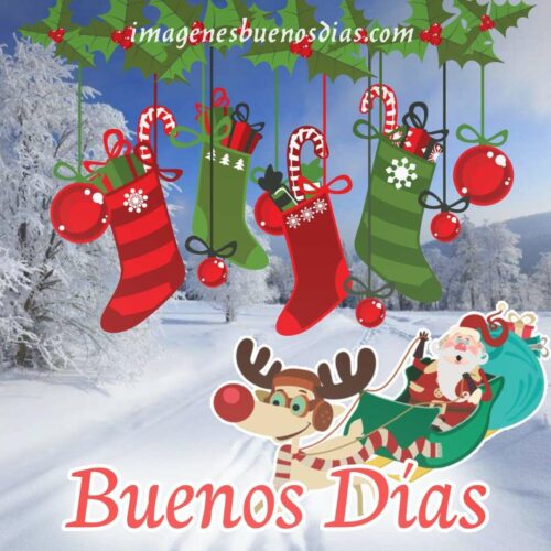 feliz navidad