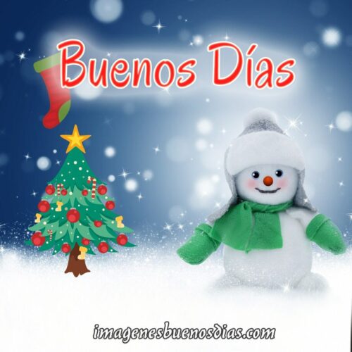 frases de navidad bonitas