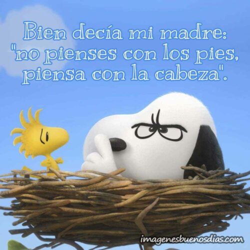 snoopy-buenos-dias-29