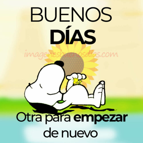 snoopy-buenos-dias-3