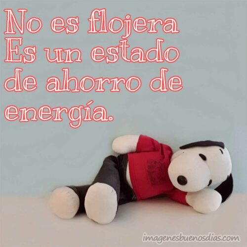 snoopy-buenos-dias-89