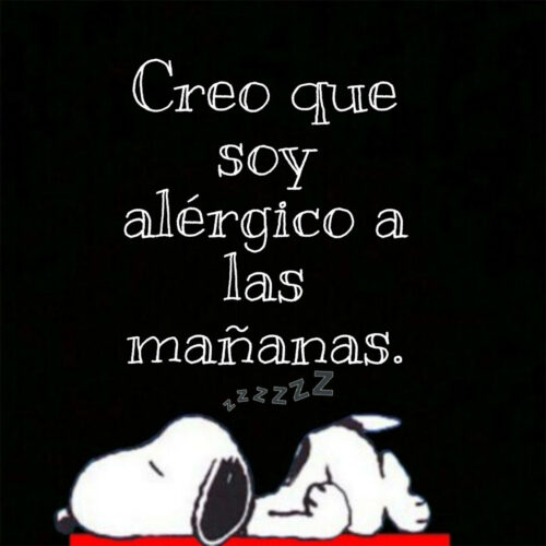 snoopy-buenos-dias-93