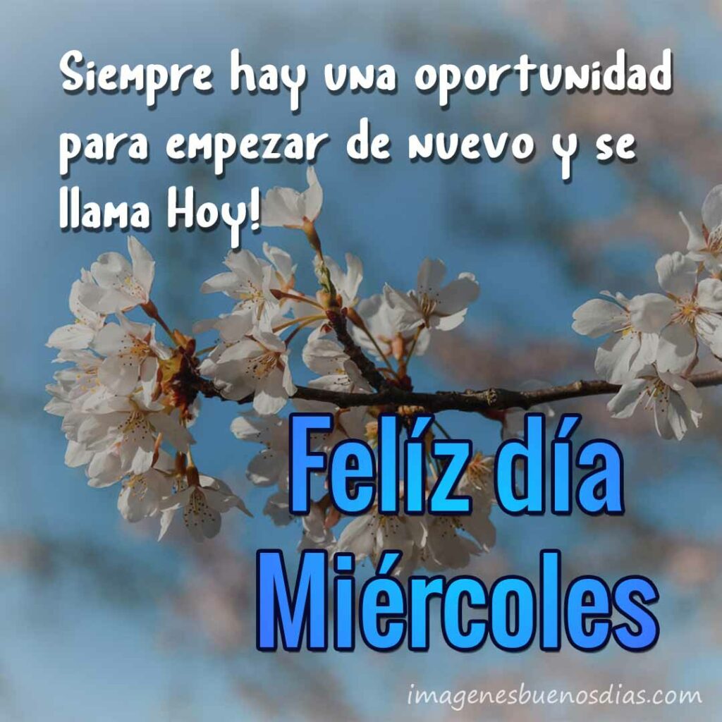 buenos dias feliz miercoles 31 buenos dias feliz miercoles