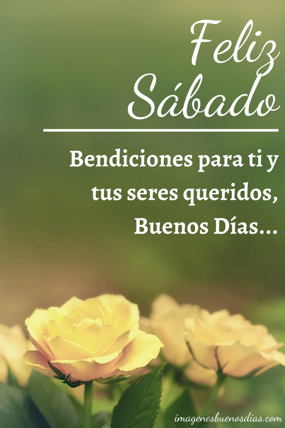 Buenos dias feliz sabado