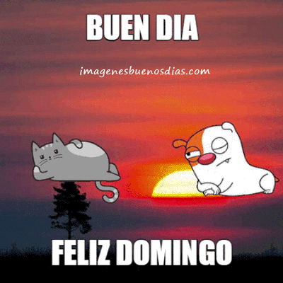 Gif Buenos D as Feliz Domingo Im genes Buenos D as Gif Buenos D as Feliz Domingo Im genes Buenos D as