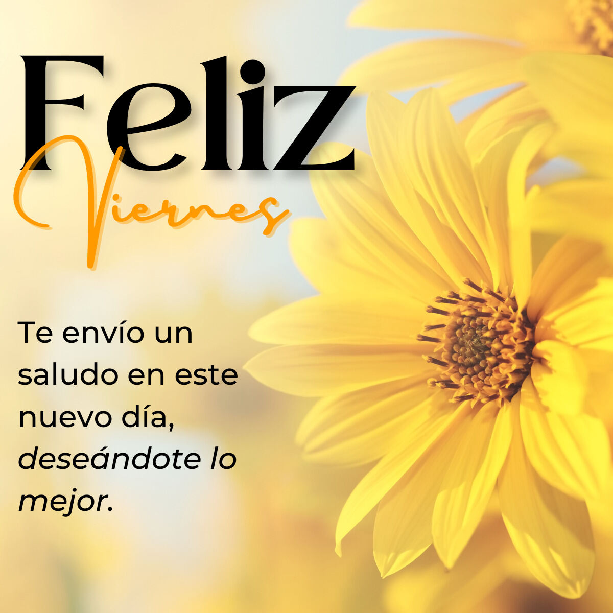 70 Imágenes De Feliz Viernes 🥳 Imágenes Buenos Días